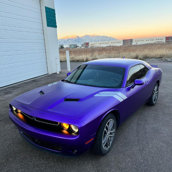 Factors influencing car wrap prices